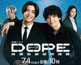 DOPE麻药取缔部特搜课(全集)
