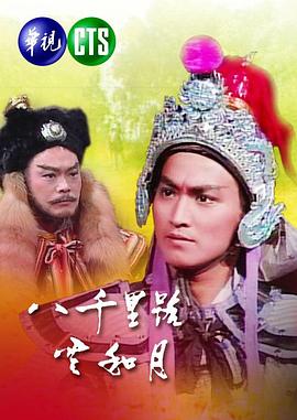 八千里路云和月1988(全集)