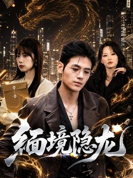 缅境隐龙(全集)