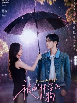 被雨淋湿的小狗(全集)