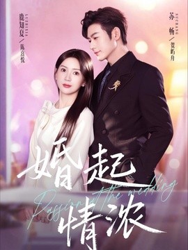 婚起情浓(全集)