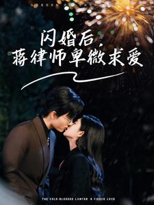 闪婚后蒋律师卑微求爱 闪婚后高冷律师疯狂宠(全集)