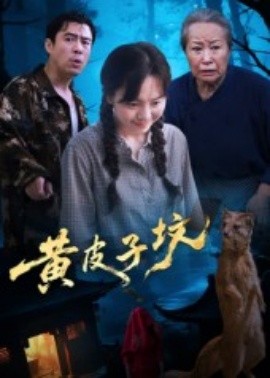 黄皮子坟(全集)