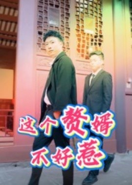 这个赘婿不好惹(全集)